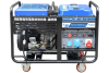 Бензиновый генератор ТСС SGG 18000EH3LA фото