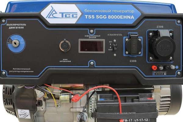 Бензиновый генератор ТСС SGG 8000EHNA в кожухе МК-1.1 портативный фото